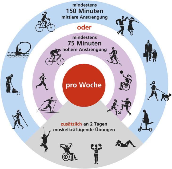 Kreisgrafik mit Bewegungsempfehlung: pro Woche mindestens 150 Minuten mittlere Anstrengung oder 75 Minuten höhere Anstrengung – zusätzlich an 2 Tagen muskelkräftigende Übungen; dargestellt mit Sport- und Alltagsbewegungs-Icons.